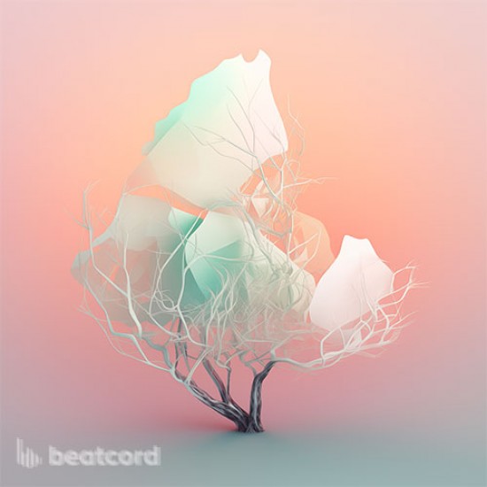 Fractal Bloom