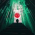 Crimson Ascension