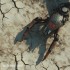 Desert Protocol