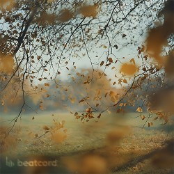 Autumn Drift