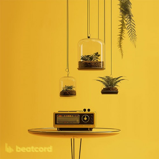 Golden Broadcast