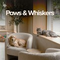 Paws & Whiskers