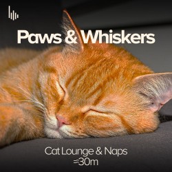 Paws & Whiskers • II. Cat Lounge & Naps
