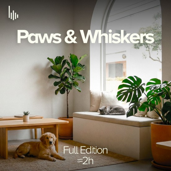 Paws and Whiskers The Full Experience In Store Music for Pet Friendly Spaces