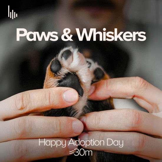 Happy Adoption Day In Store Music for Pet Shops
