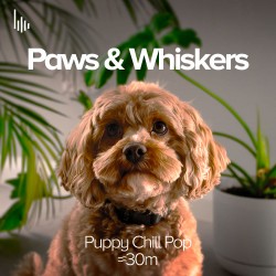Paws & Whiskers • I. Puppy Chill Pop