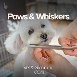 Paws & Whiskers • IV. Vet & Grooming