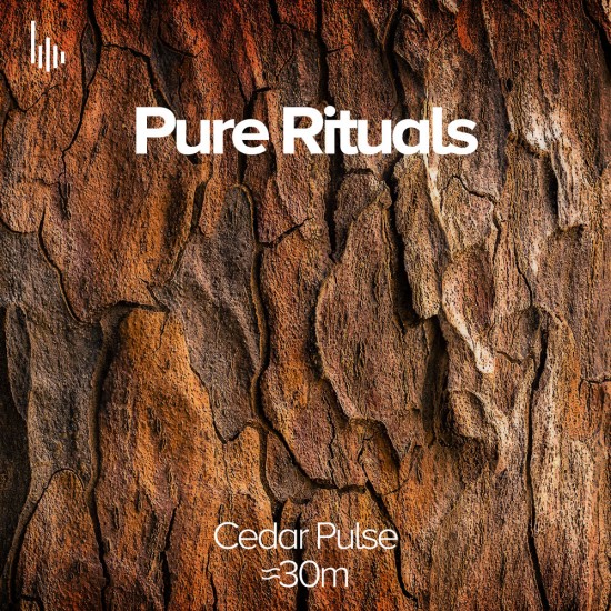 Pure Rituals • II. Cedar Pulse – Organic Wooden Ambient Module