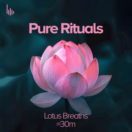 Pure Rituals • IV. Lotus Breaths – Botanical Breath Ambient Module