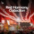 Red Harmony Collection • II. Crimson Streets