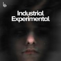 Industrial Experimental